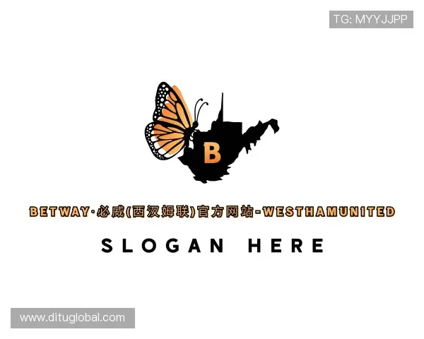 介绍betway西汉姆联